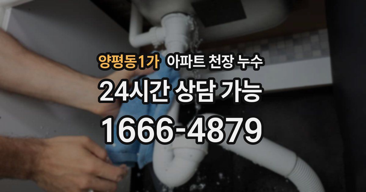 양평동1가 아파트 천장 누수