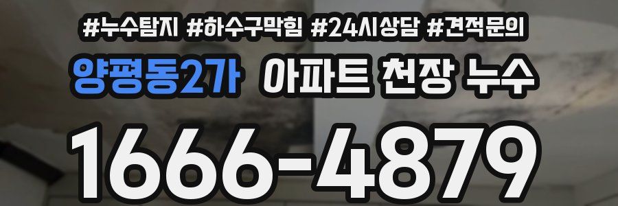 양평동2가 아파트 천장 누수