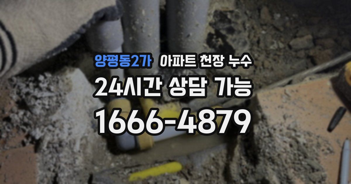 양평동2가 아파트 천장 누수