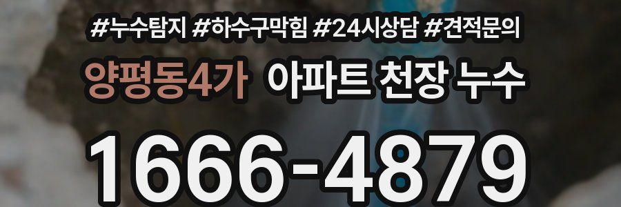 양평동4가 아파트 천장 누수