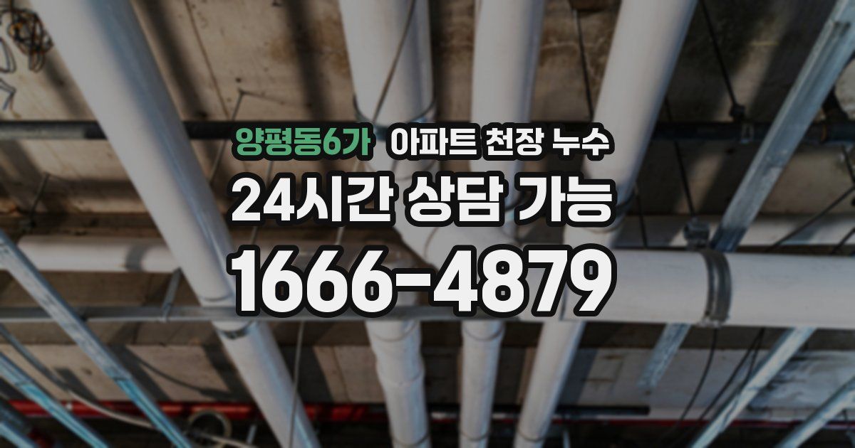 양평동6가 아파트 천장 누수