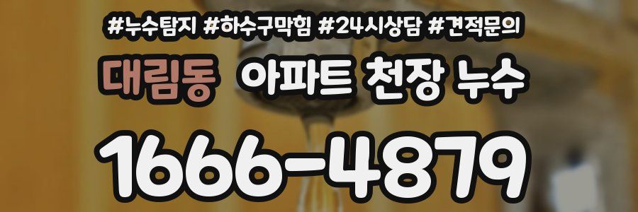 대림동 아파트 천장 누수