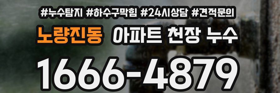 노량진동 아파트 천장 누수