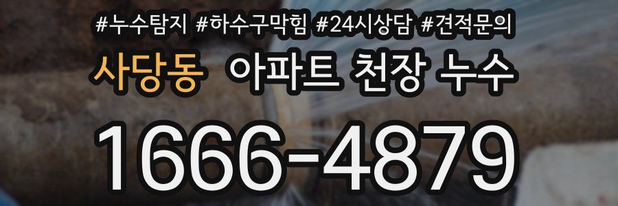 사당동 아파트 천장 누수