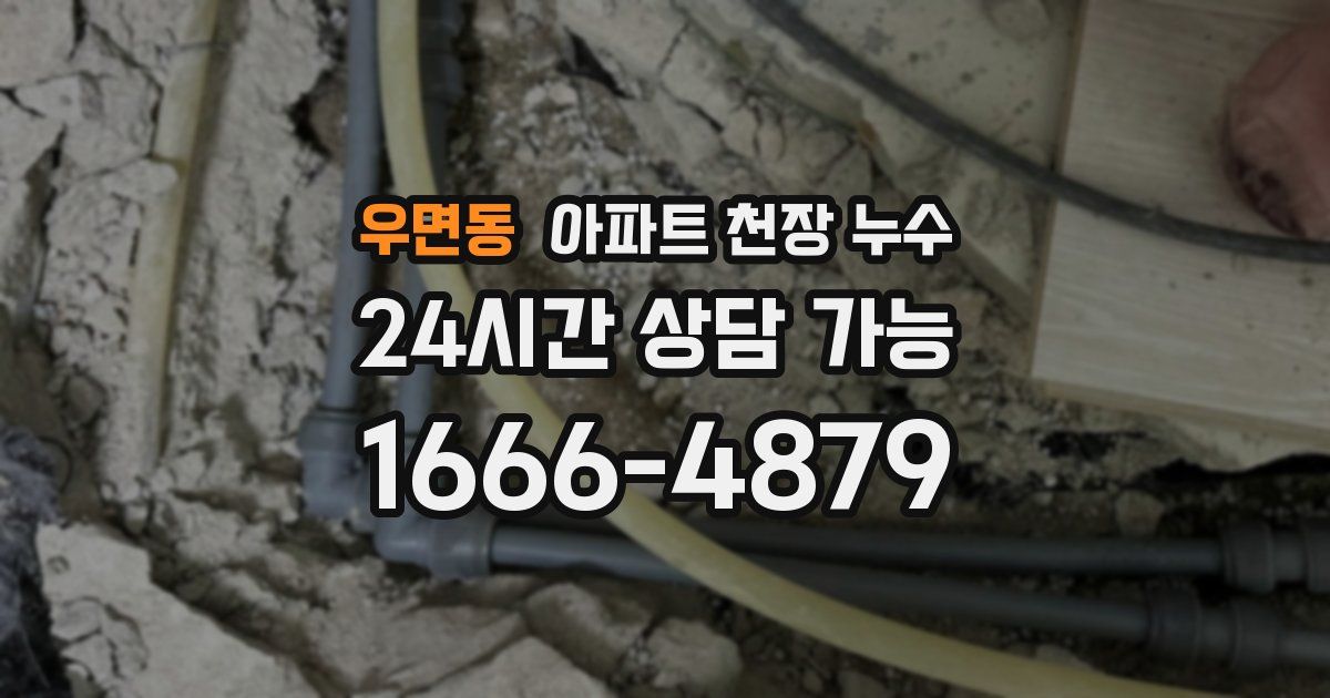 우면동 아파트 천장 누수