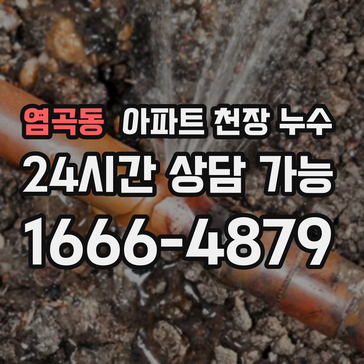 염곡동 아파트 천장 누수