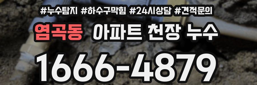 염곡동 아파트 천장 누수