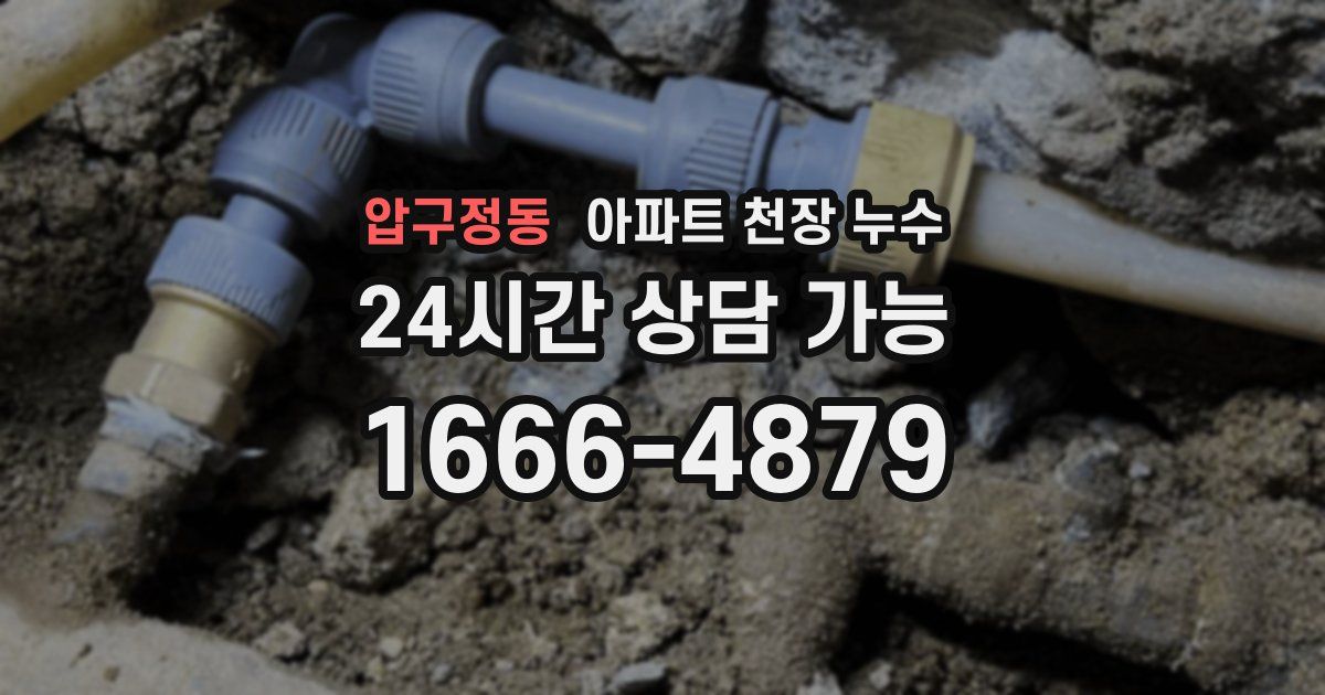 압구정동 아파트 천장 누수