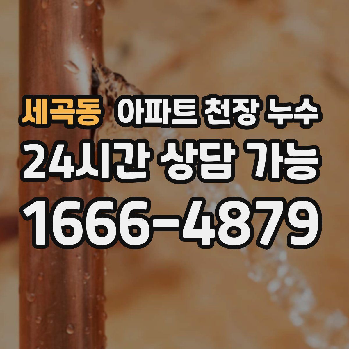 세곡동 아파트 천장 누수