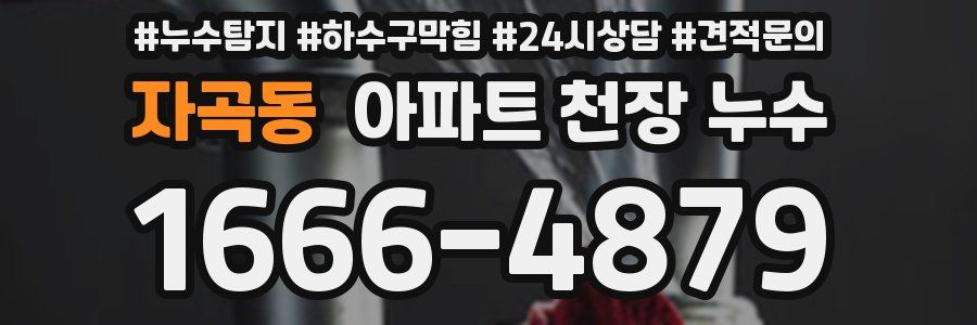 자곡동 아파트 천장 누수