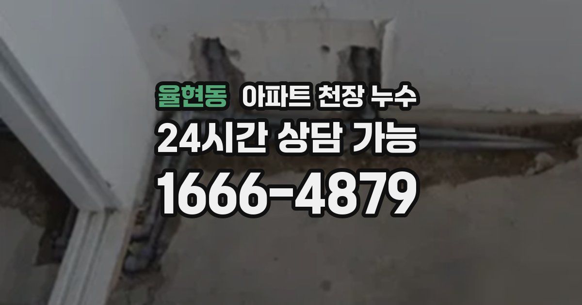 율현동 아파트 천장 누수