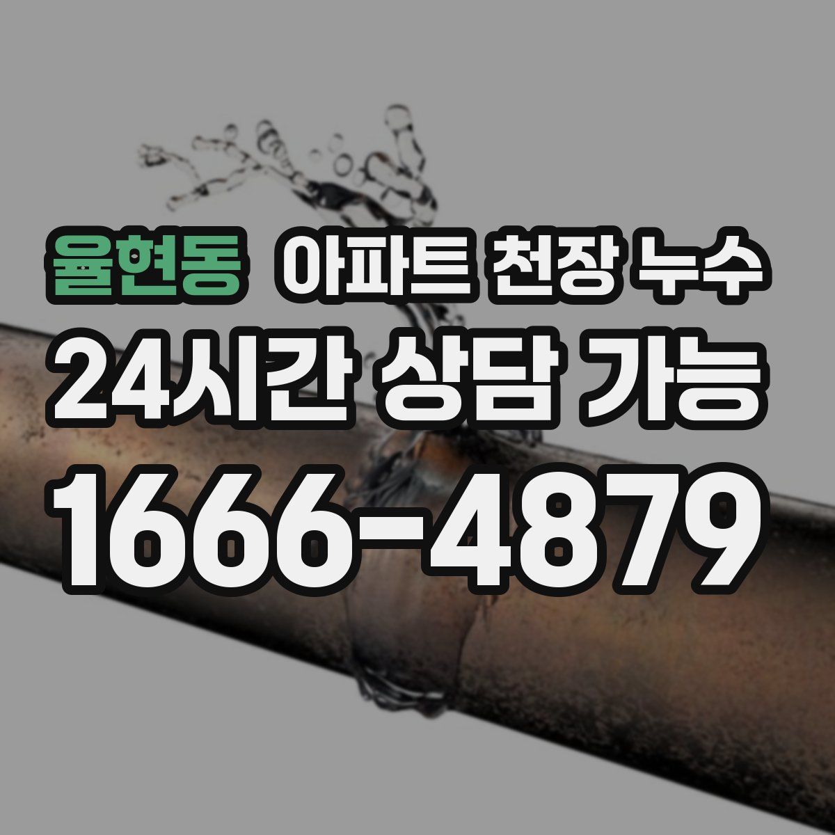 율현동 아파트 천장 누수