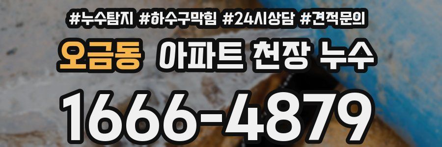 오금동 아파트 천장 누수