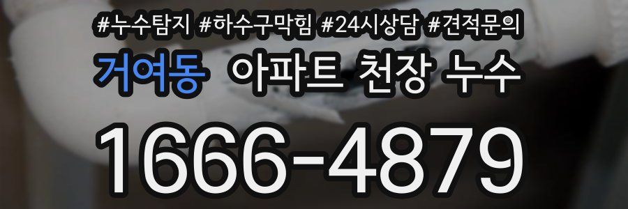거여동 아파트 천장 누수