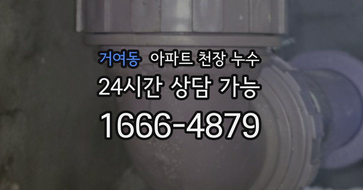 거여동 아파트 천장 누수