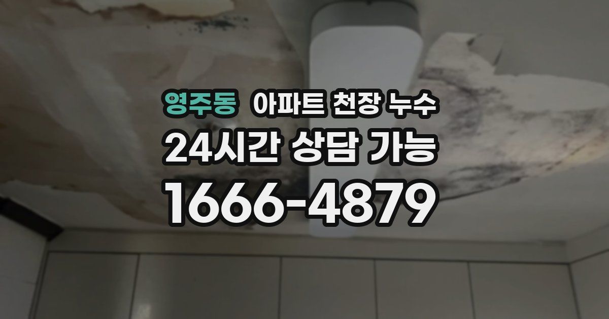 영주동 아파트 천장 누수
