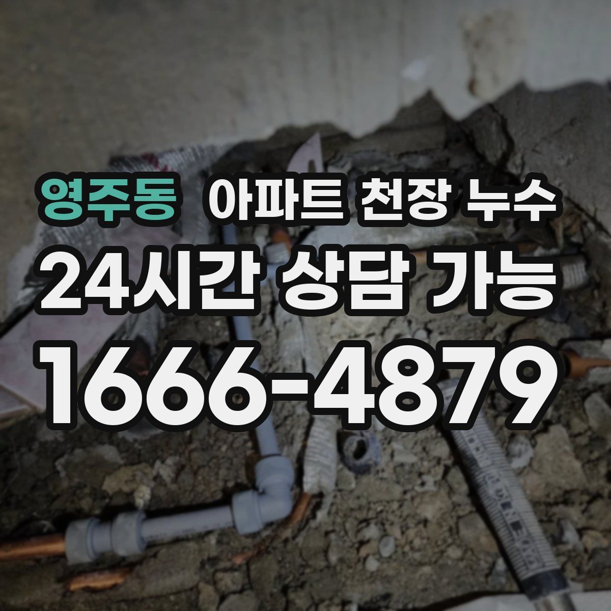 영주동 아파트 천장 누수