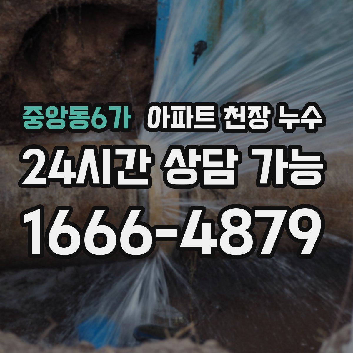 중앙동6가 아파트 천장 누수