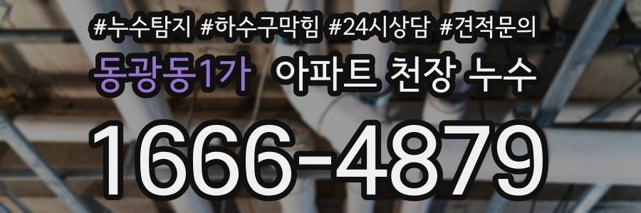 동광동1가 아파트 천장 누수