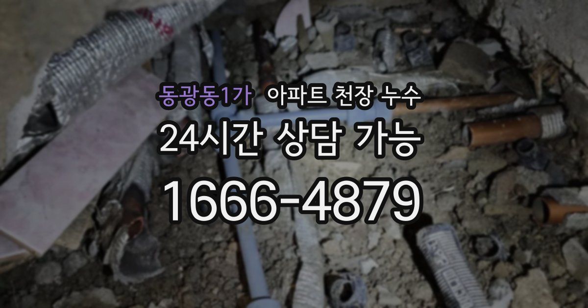 동광동1가 아파트 천장 누수