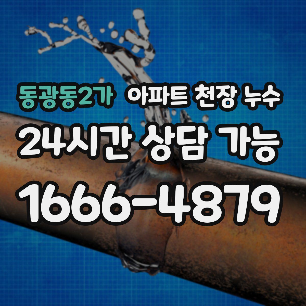 동광동2가 아파트 천장 누수