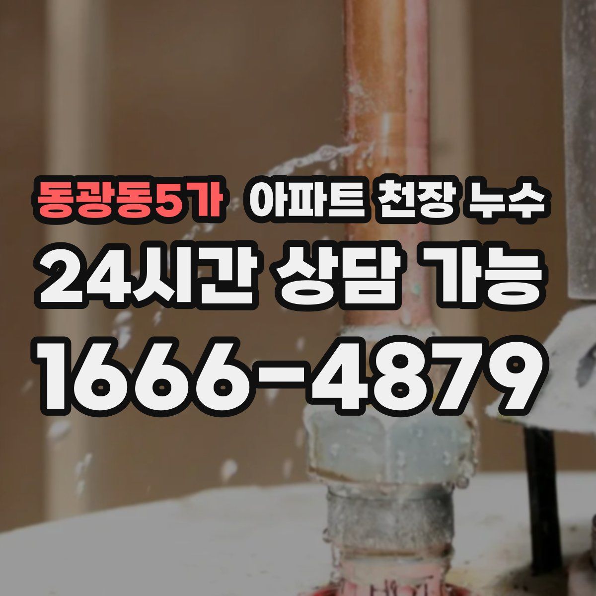 동광동5가 아파트 천장 누수
