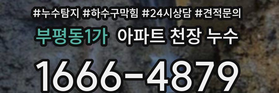 부평동1가 아파트 천장 누수