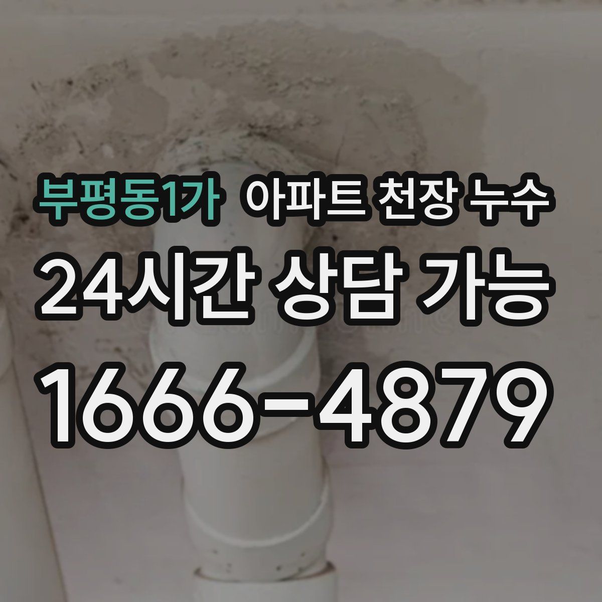 부평동1가 아파트 천장 누수