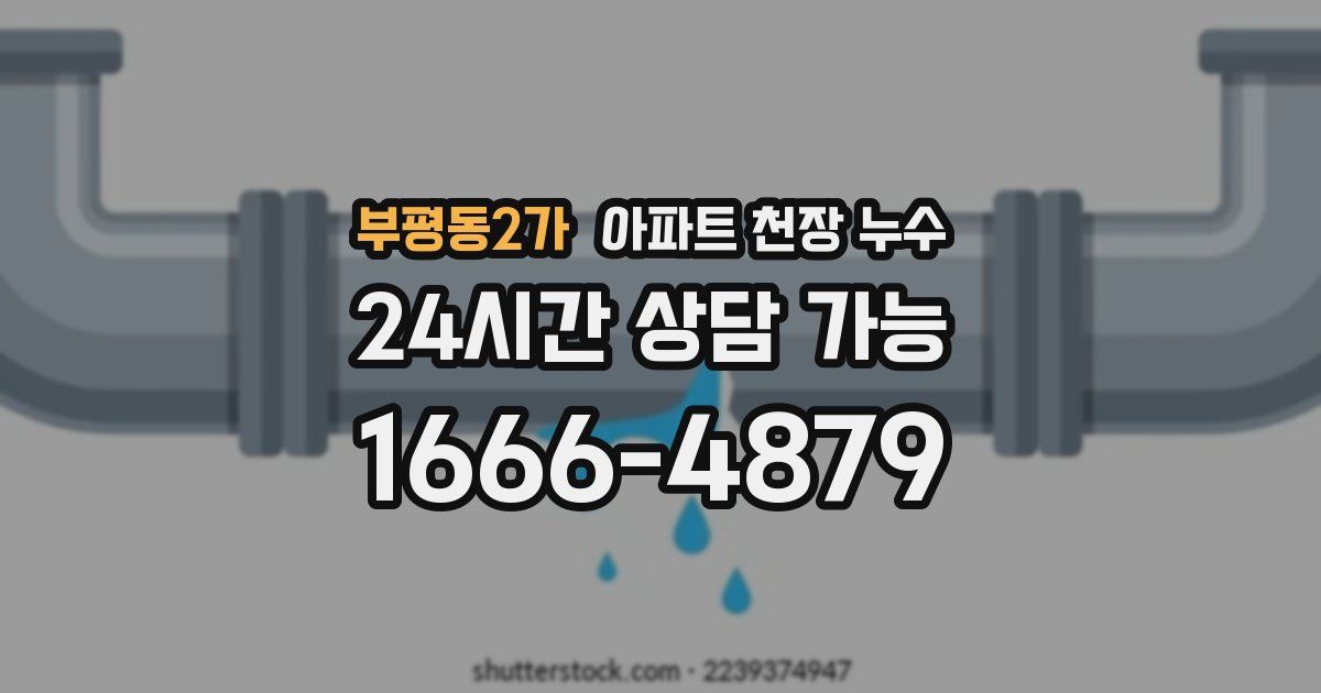 부평동2가 아파트 천장 누수