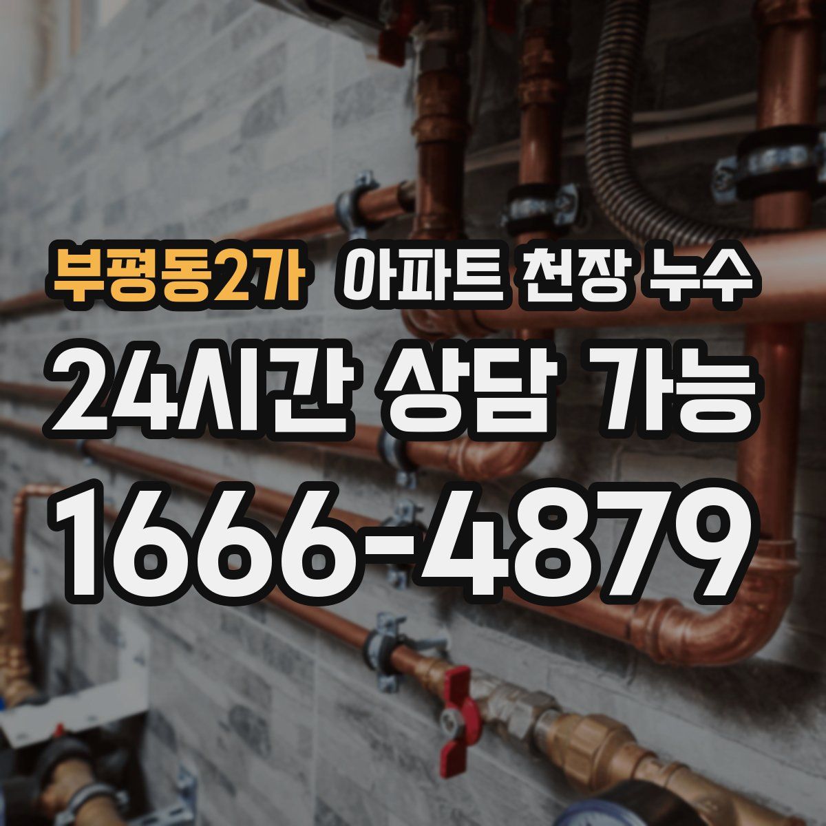 부평동2가 아파트 천장 누수