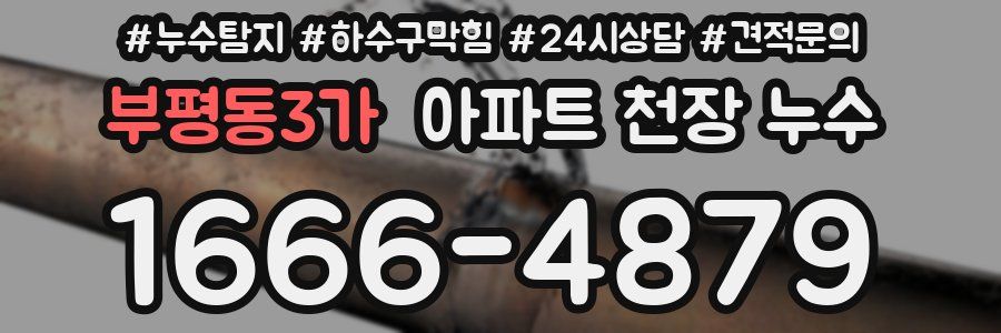 부평동3가 아파트 천장 누수