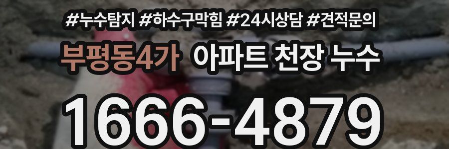 부평동4가 아파트 천장 누수