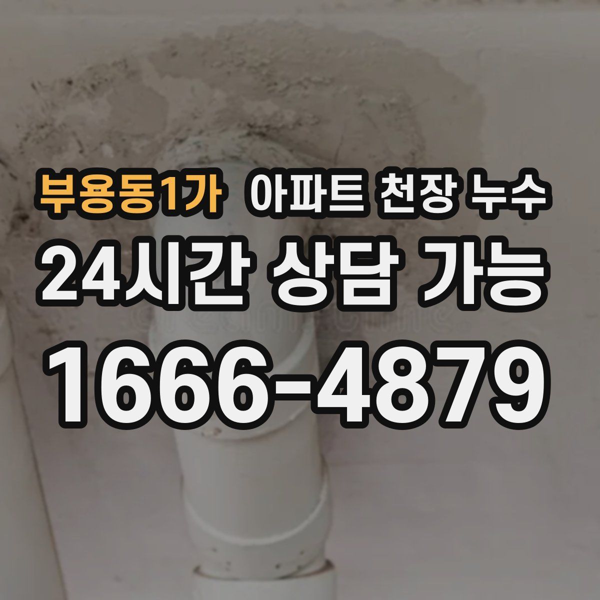 부용동1가 아파트 천장 누수