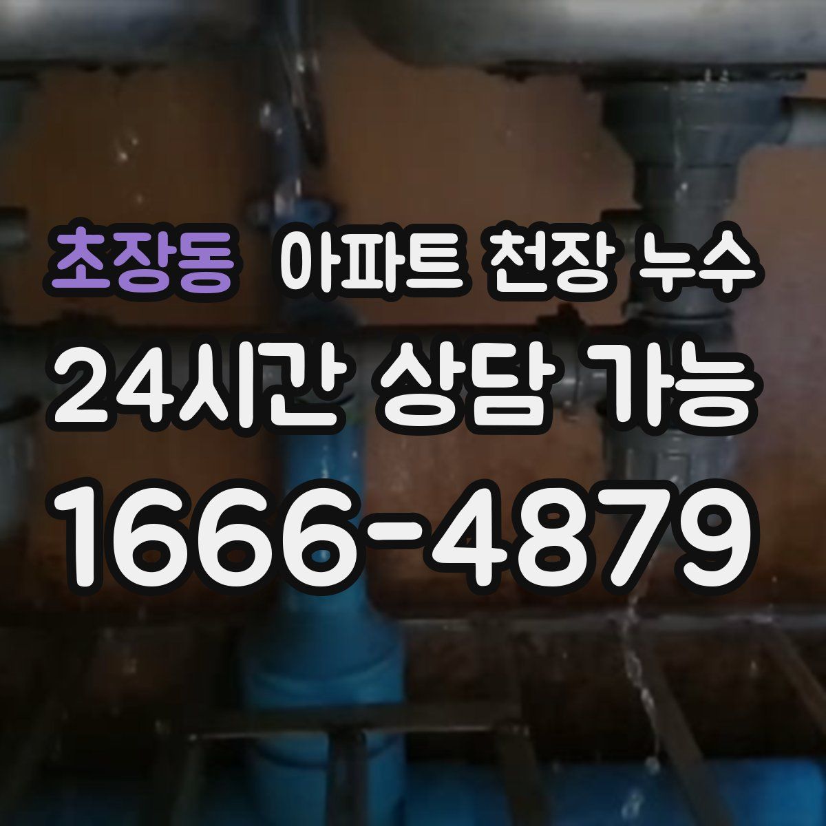 초장동 아파트 천장 누수