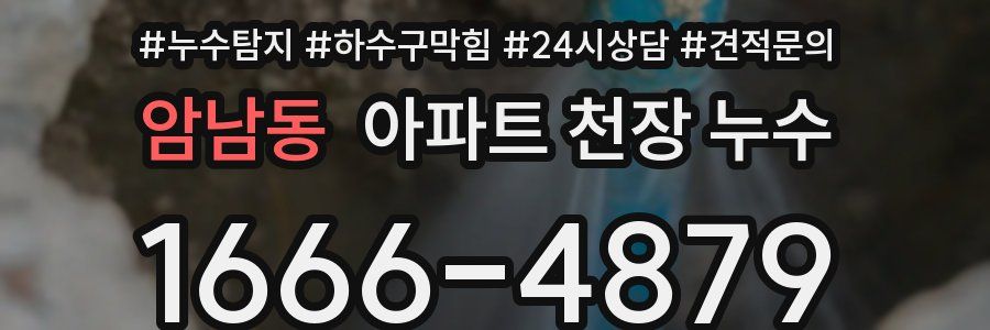 암남동 아파트 천장 누수