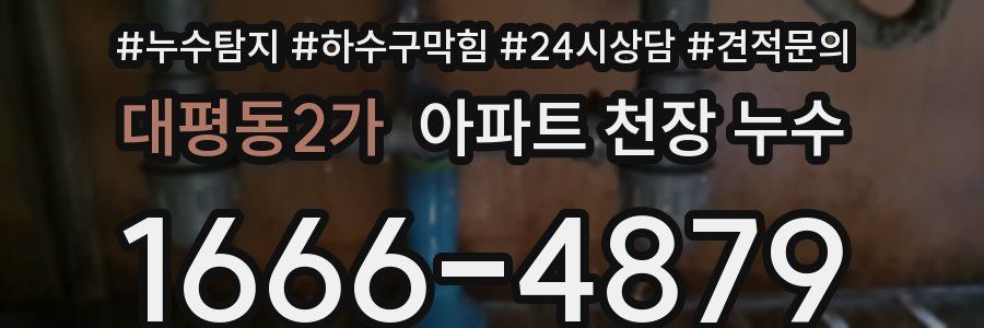 대평동2가 아파트 천장 누수