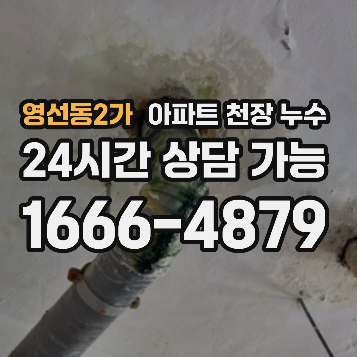 영선동2가 아파트 천장 누수