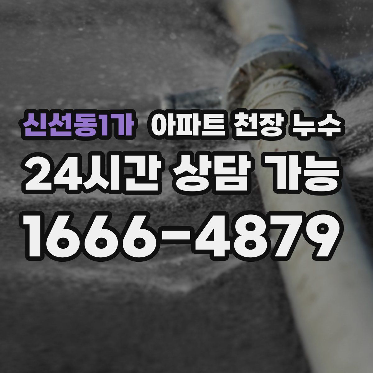 신선동1가 아파트 천장 누수