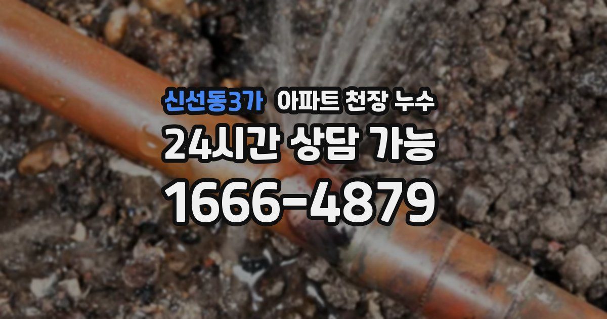 신선동3가 아파트 천장 누수