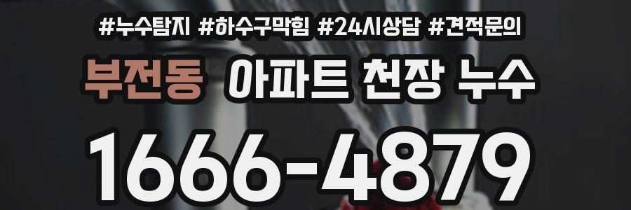 부전동 아파트 천장 누수