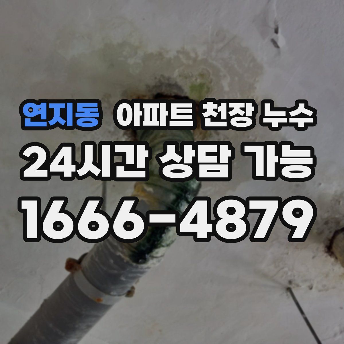 연지동 아파트 천장 누수