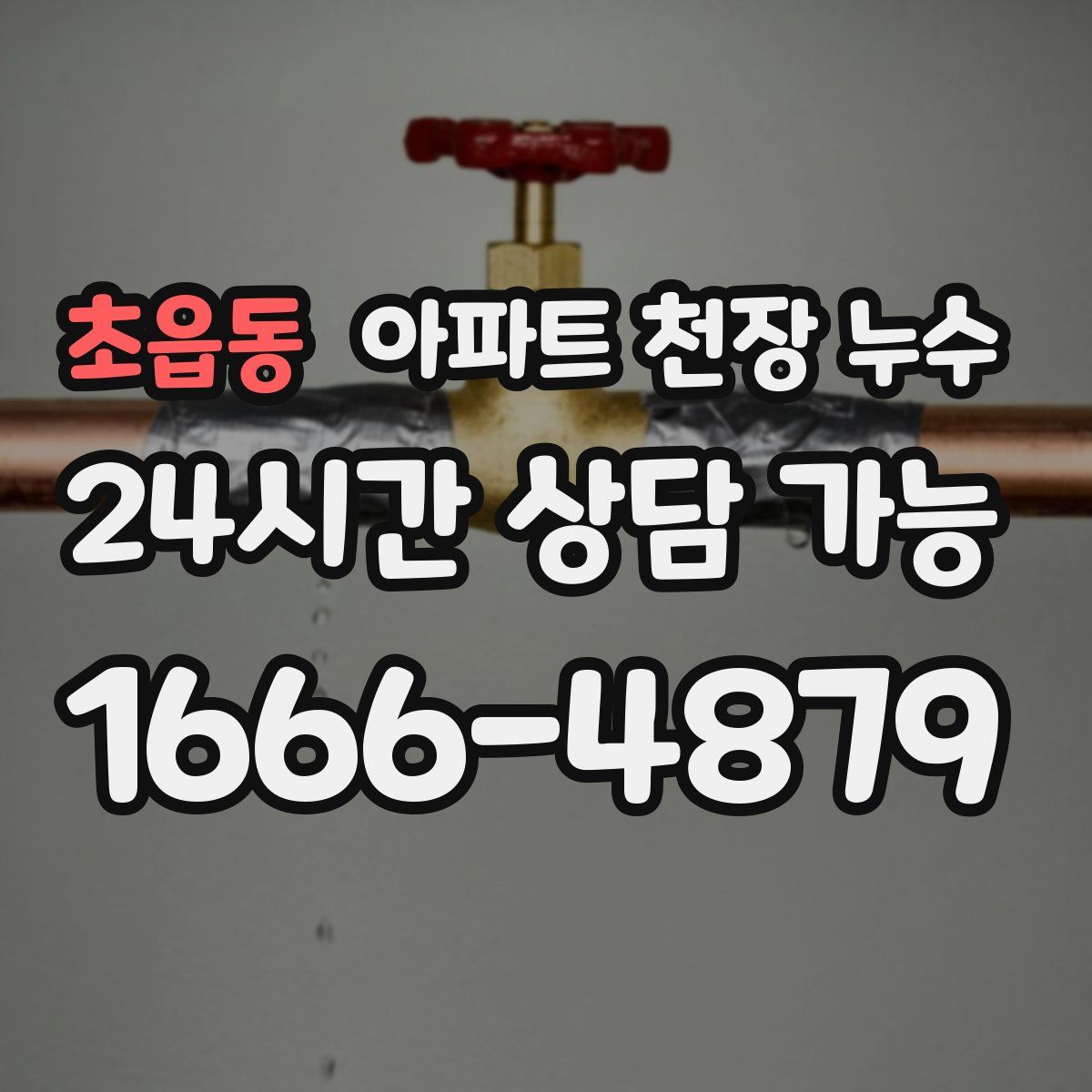 초읍동 아파트 천장 누수