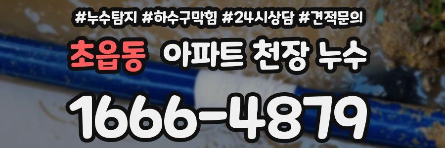 초읍동 아파트 천장 누수