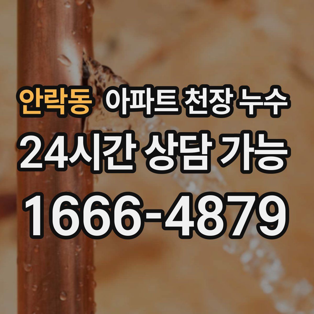 안락동 아파트 천장 누수