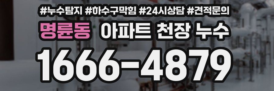 명륜동 아파트 천장 누수