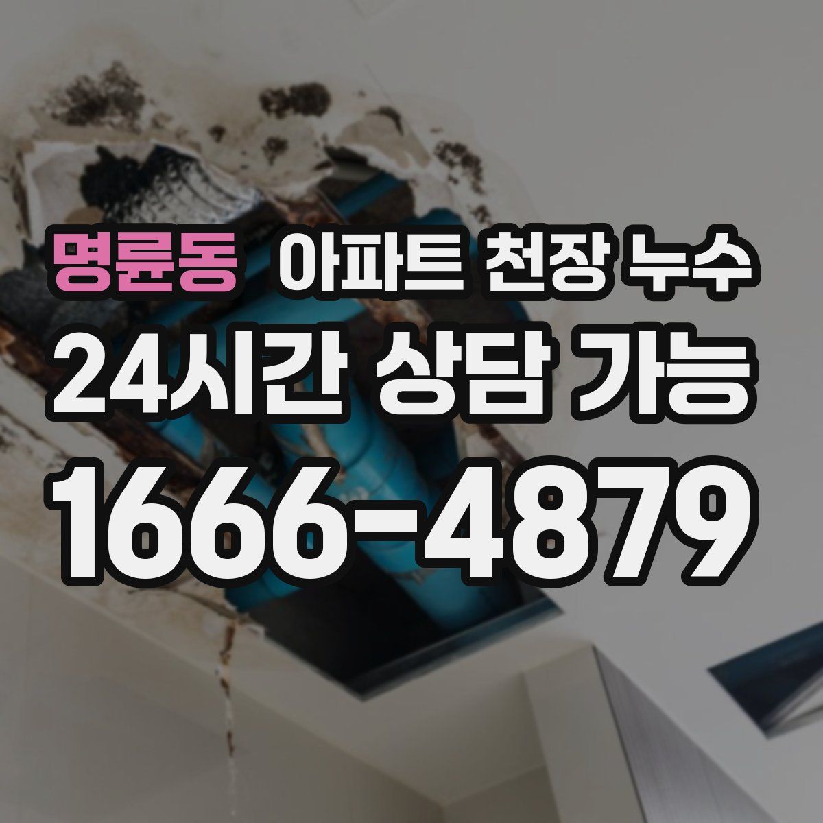 명륜동 아파트 천장 누수