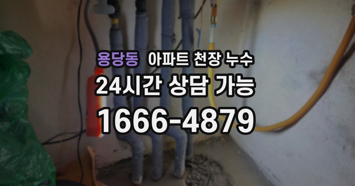 용당동 아파트 천장 누수