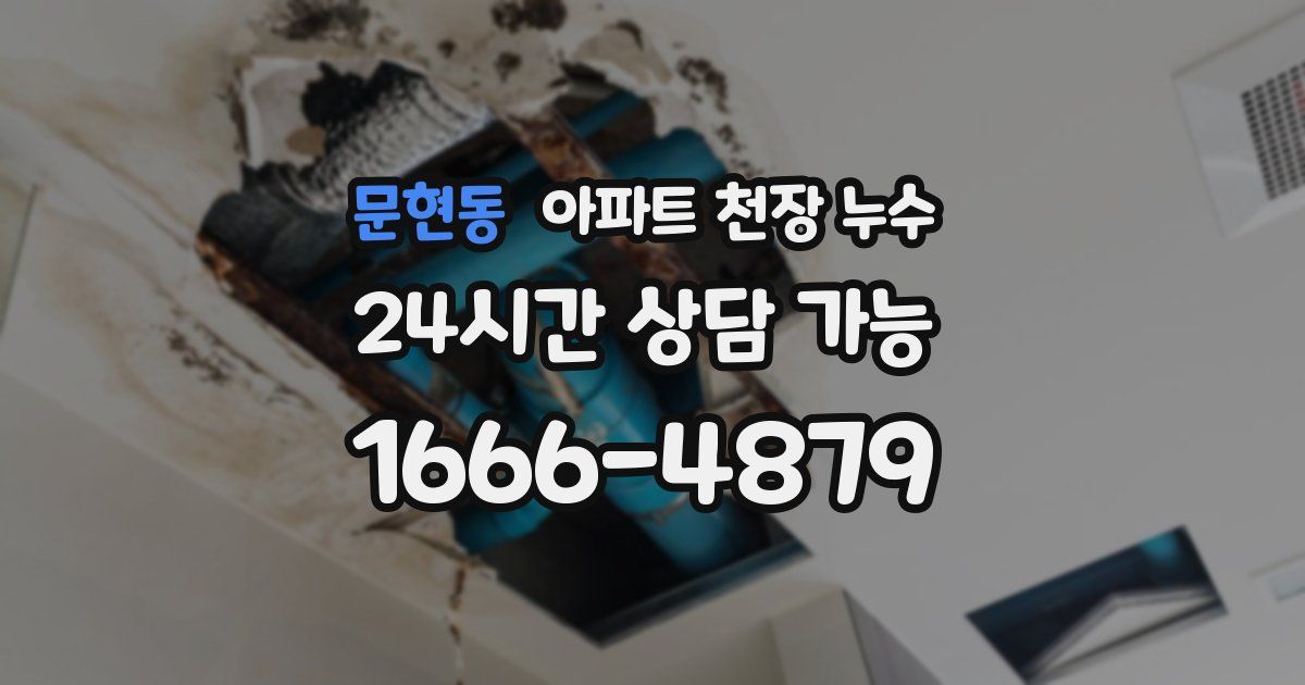 문현동 아파트 천장 누수