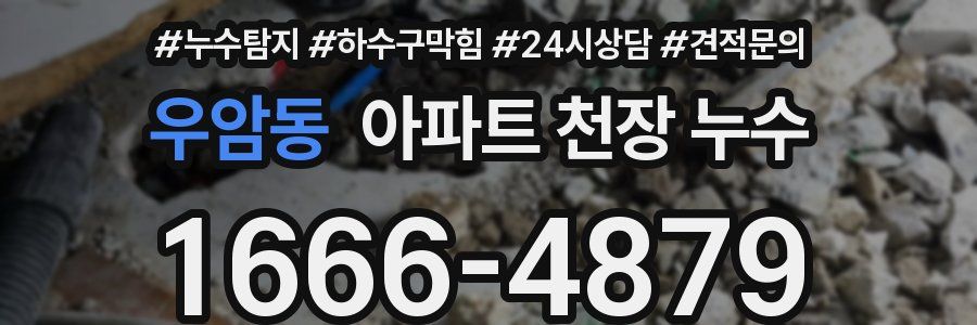 우암동 아파트 천장 누수