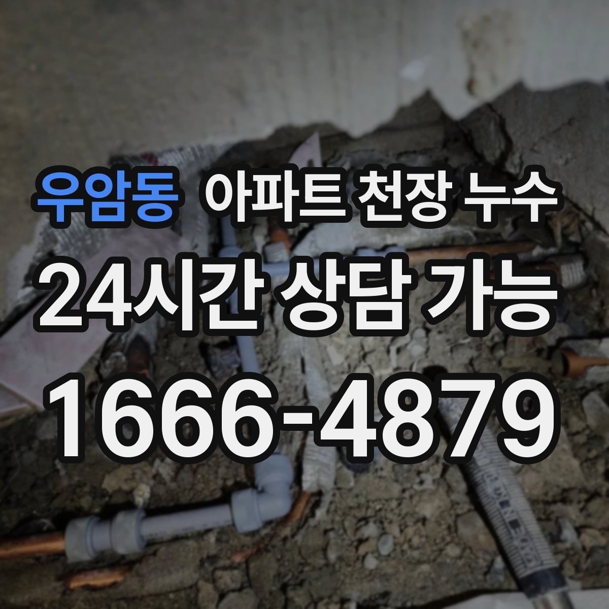 우암동 아파트 천장 누수